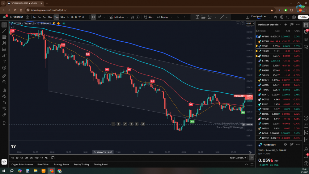 Indicator EverUp